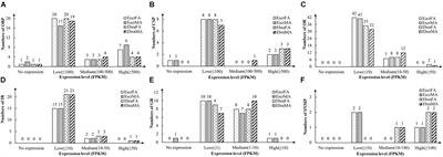 Identification and Comparison of Chemosensory Genes in the Antennal Transcriptomes of Eucryptorrhynchus scrobiculatus and E. brandti Fed on Ailanthus altissima